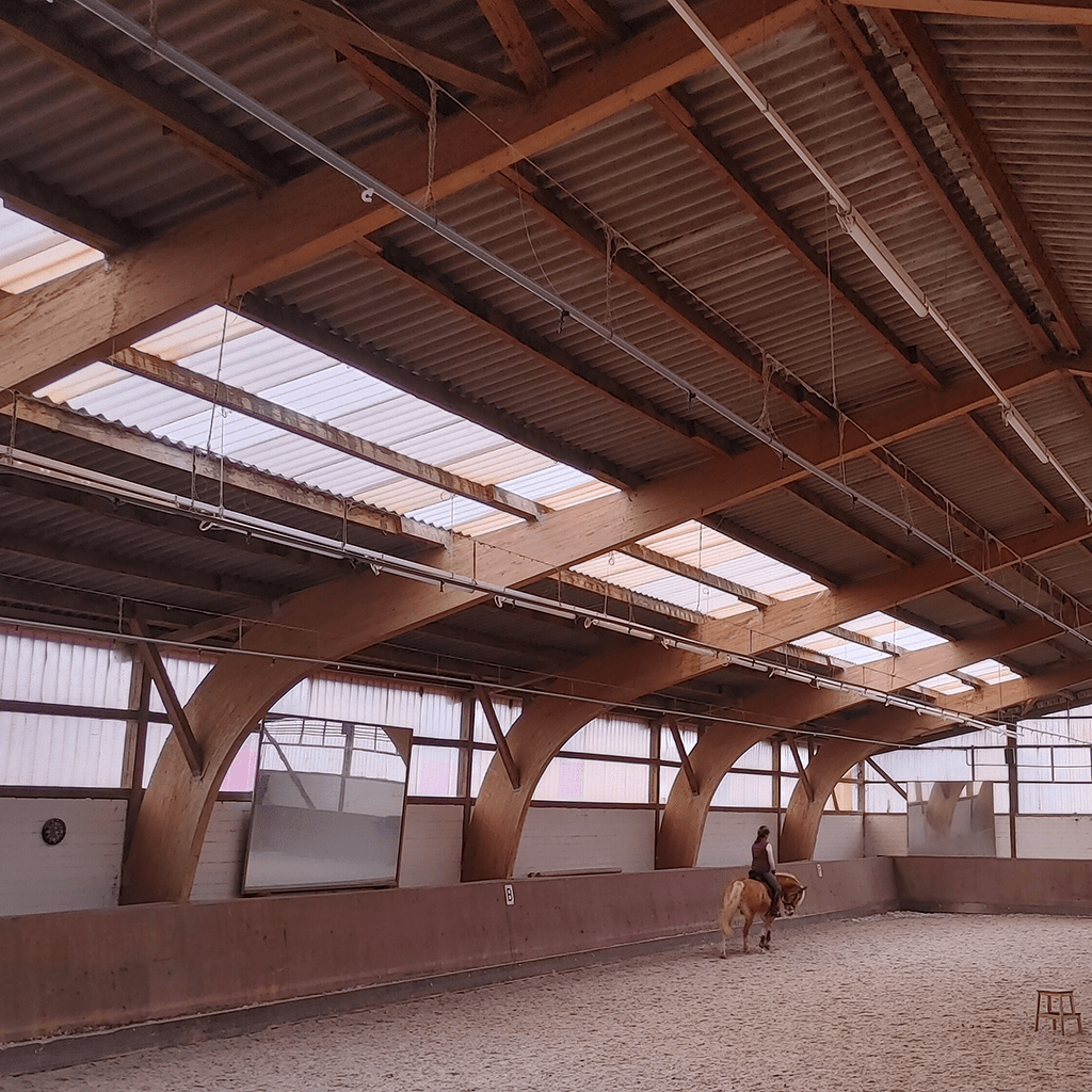 Erweiterung mit zusätzlicher Halle